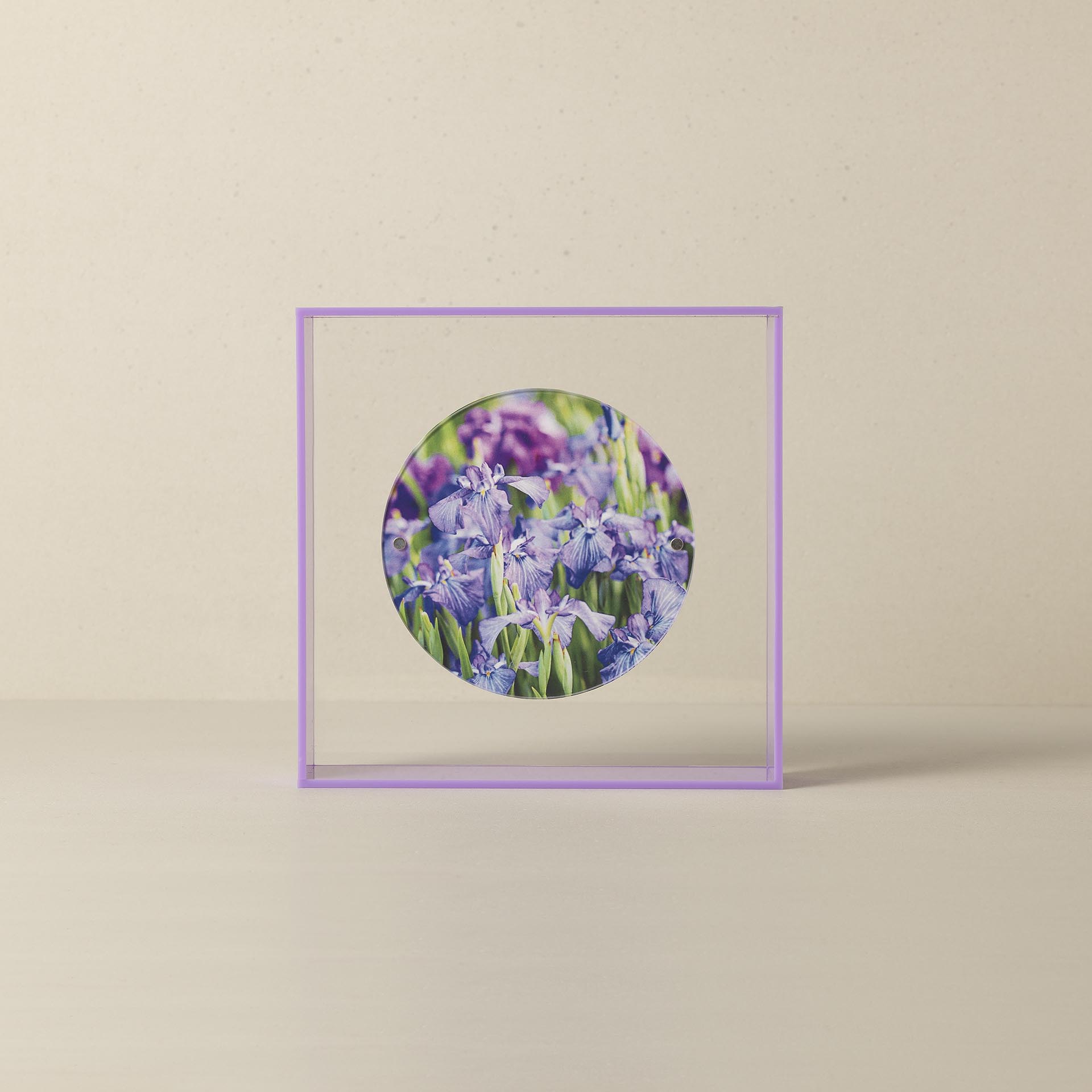 WB-1803 - CIRCLE BOX FRAME