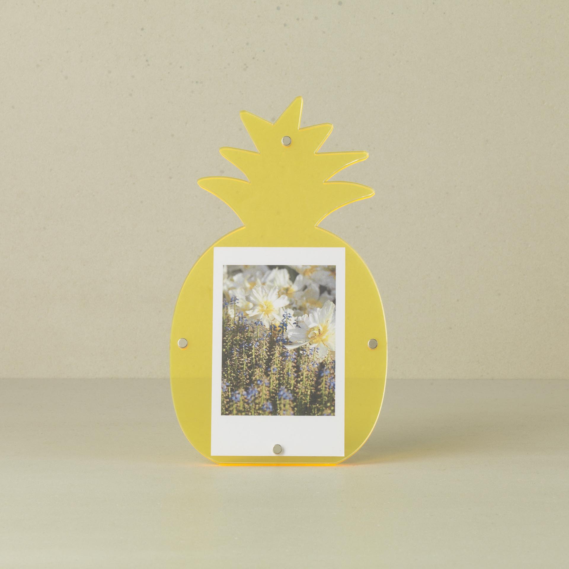 WB-1810 - PINEAPPLE INSTAX FRAME