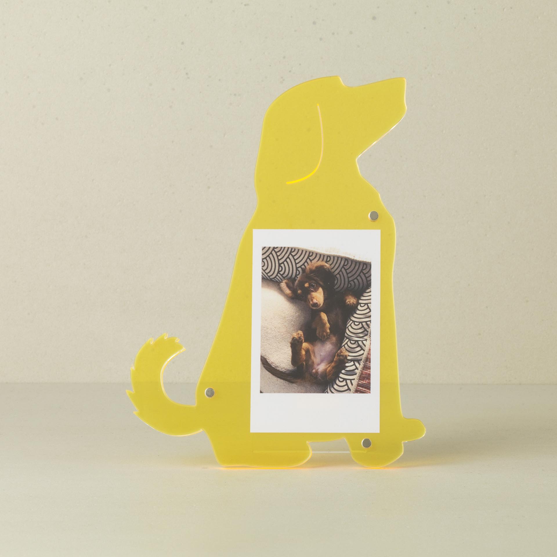 WB-1814 - DOG INSTAX FRAME