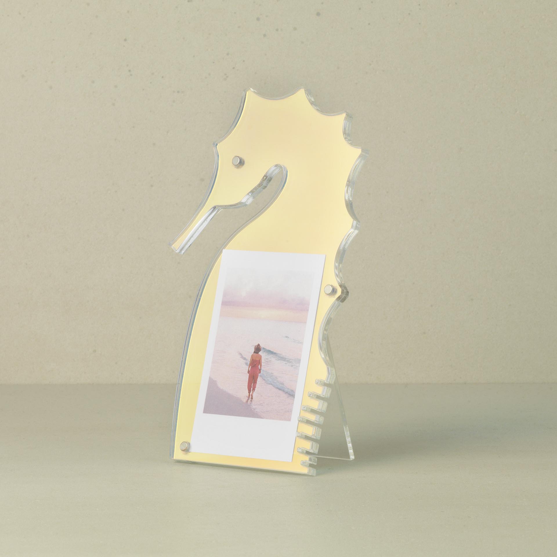 WB-1815 - SEAHORSE INSTAX FRAME