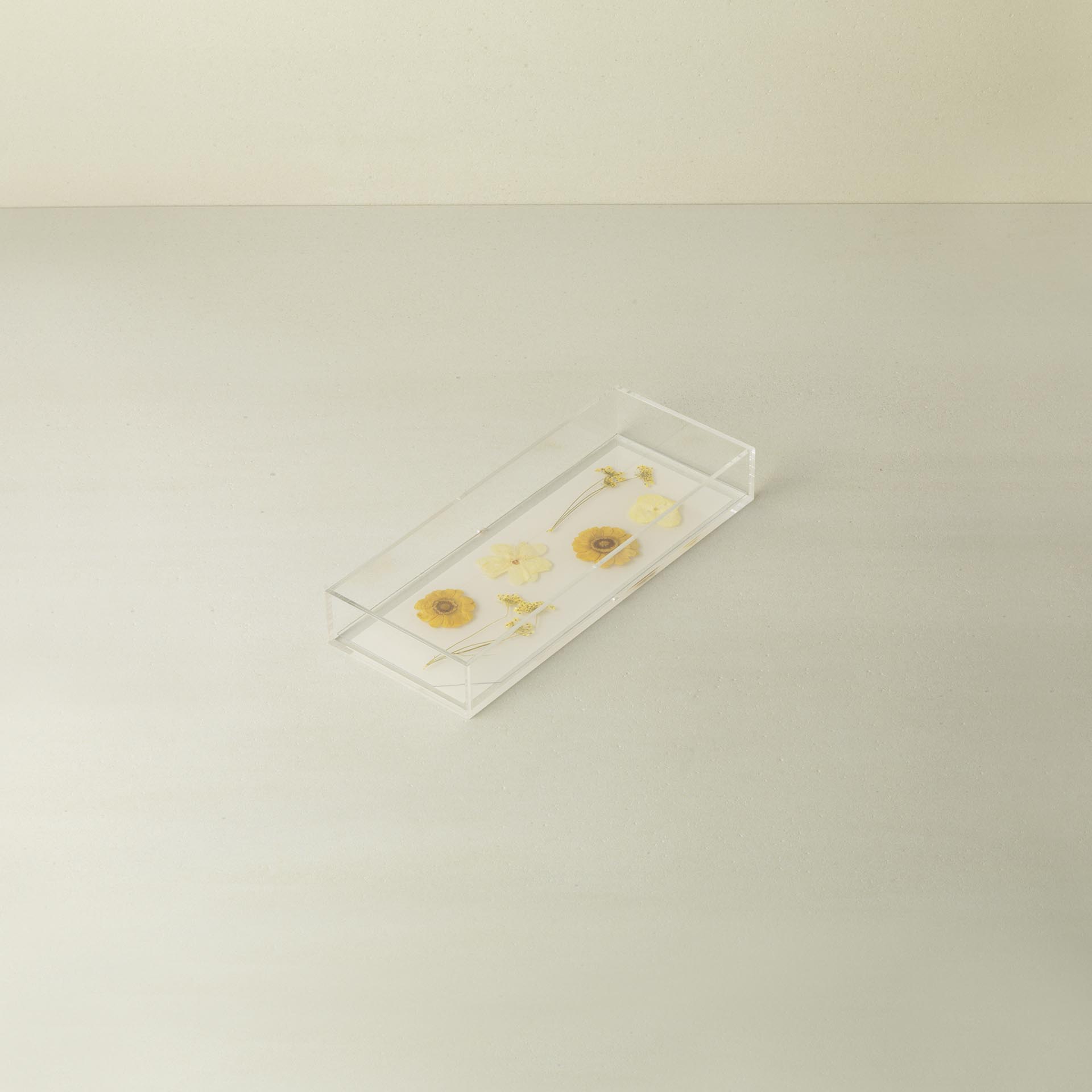 WB-1907 - PHOTO TRAY S